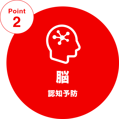 Point2 脳（認知予防）